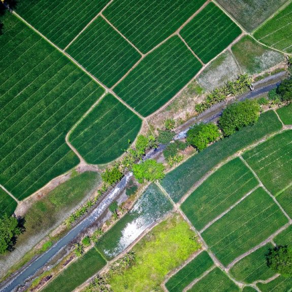 arial view fields and river